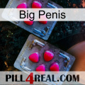 Big Penis 14